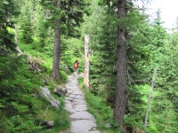 IMG_6314.jpg, 37kB